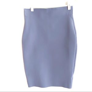 Shinestar Light Purple High waisted Pencil Skirt L